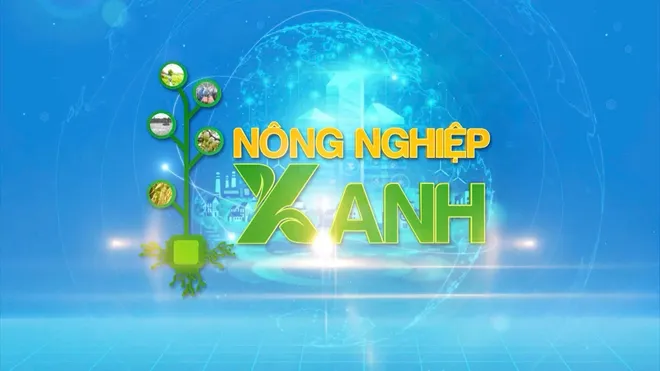 VTV10 viết tiếp chặng đường mới từ VTV Cần Thơ - Ảnh 4.