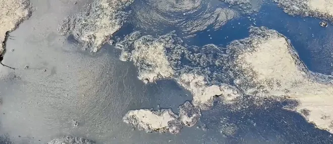 N&ocirc;ng d&acirc;n bỏ ruộng v&igrave; dầu nhớt xuất hiện bất thường- Ảnh 4.