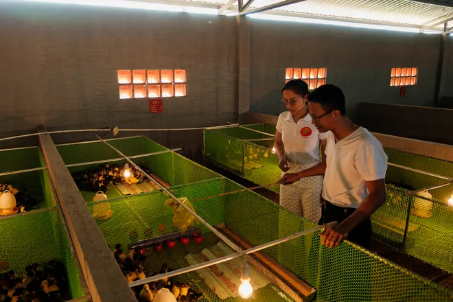 Đặc sắc đ&ecirc;m giao lưu nghệ thuật &ldquo;Nghệ sĩ v&igrave; biển, đảo qu&ecirc; hương&rdquo; tại V&ugrave;ng 2 Hải qu&acirc;n - Ảnh 6.