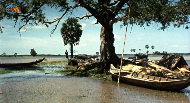 Chiếu 17 tác phẩm kinh điển nhìn lại “Diện mạo điện ảnh Việt Nam 40 năm Đổi mới” tại DANAFF IV- Ảnh 8. Chiếu 17 tác phẩm kinh điển nhìn lại “Diện mạo điện ảnh Việt Nam 40 năm Đổi mới” tại DANAFF IV- Ảnh 8.