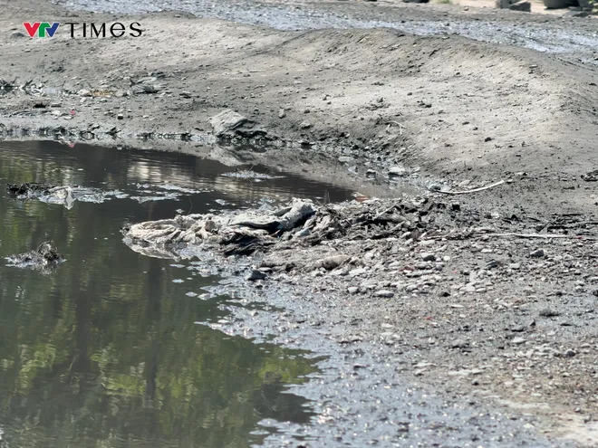 Sống cạnh bãi tập kết ở phường Long Hưng: Nỗi lo hiện hữu - Ảnh 3.