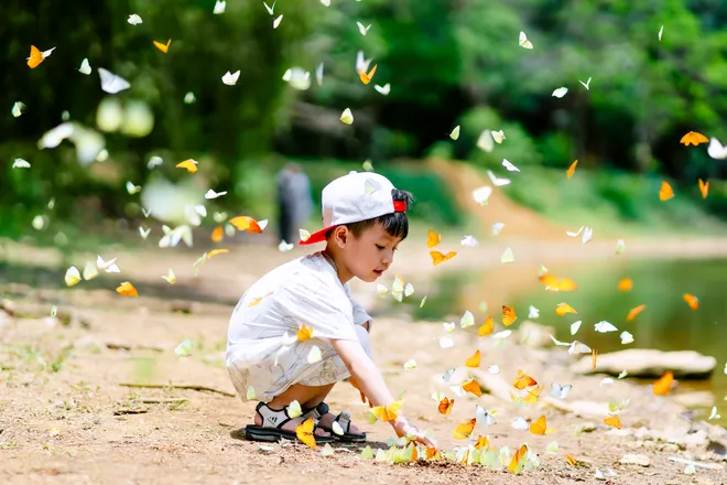 Chi&ecirc;m ngưỡng "thung lũng bướm" rợp trời gọi h&egrave; sớm ở C&uacute;c Phương - Ảnh 4.