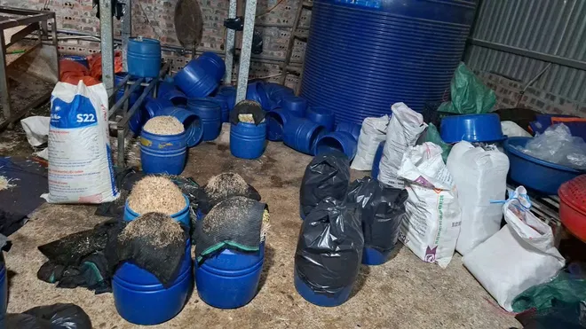 L&agrave;o Cai: Khởi tố đối tượng sản xuất khoảng 510 tấn gi&aacute; đỗ bằng h&oacute;a chất độc hại - Ảnh 2.