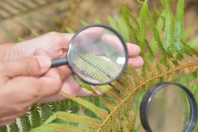 Kh&aacute;nh H&ograve;a: Học sinh khuyết tật trải nghiệm h&agrave;nh tr&igrave;nh "Theo dấu ch&acirc;n b&aacute;c sĩ Yersin" - Ảnh 6.