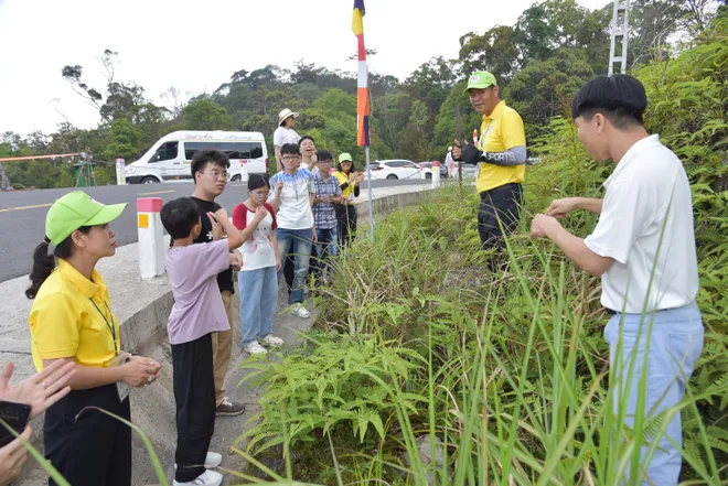 Kh&aacute;nh H&ograve;a: Học sinh khuyết tật trải nghiệm h&agrave;nh tr&igrave;nh "Theo dấu ch&acirc;n b&aacute;c sĩ Yersin" - Ảnh 5.