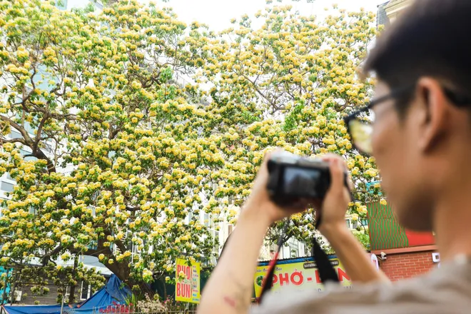 Say đắm m&ugrave;a hoa b&uacute;n rực rỡ giữa l&ograve;ng H&agrave; Nội, người d&acirc;n n&ocirc; nức đổ về check-in - Ảnh 14.