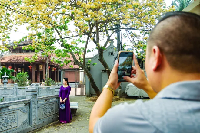 Say đắm m&ugrave;a hoa b&uacute;n rực rỡ giữa l&ograve;ng H&agrave; Nội, người d&acirc;n n&ocirc; nức đổ về check-in - Ảnh 11.