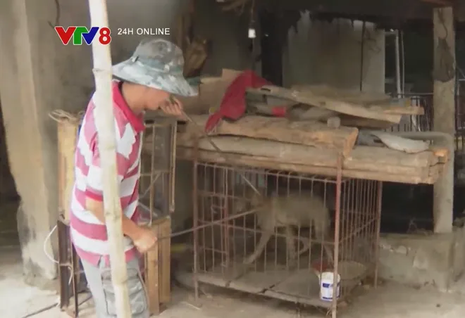 Báo động dịch bệnh dại- Ảnh 6. Báo động dịch bệnh dại- Ảnh 6.