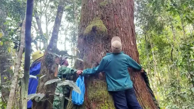 Kết nối VTV8 tuần 13.4 - 20.4: "Tổ quốc bình yên" - Tâm điểm sự kiện tại Đà Nẵng dịp lễ 30/4.- Ảnh 15. Kết nối VTV8 tuần 13.4 - 20.4: "Tổ quốc bình yên" - Tâm điểm sự kiện tại Đà Nẵng dịp lễ 30/4.- Ảnh 15.