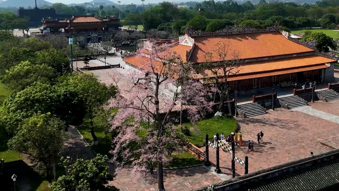 Kết nối VTV8 tuần 13.4 - 20.4: "Tổ quốc bình yên" - Tâm điểm sự kiện tại Đà Nẵng dịp lễ 30/4.- Ảnh 7. Kết nối VTV8 tuần 13.4 - 20.4: "Tổ quốc bình yên" - Tâm điểm sự kiện tại Đà Nẵng dịp lễ 30/4.- Ảnh 7.