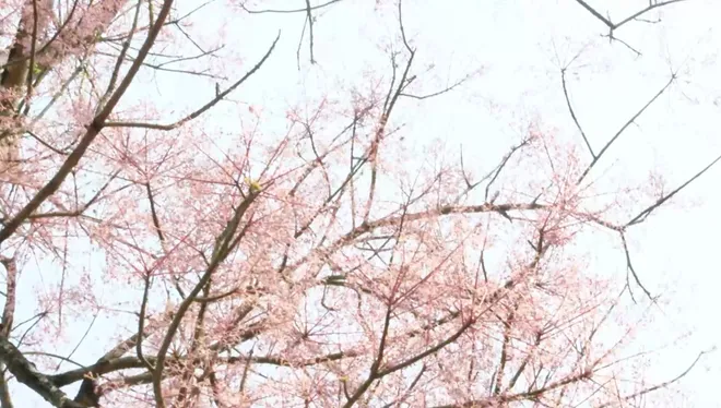 Kết nối VTV8 tuần 13.4 - 20.4: "Tổ quốc bình yên" - Tâm điểm sự kiện tại Đà Nẵng dịp lễ 30/4.- Ảnh 8. Kết nối VTV8 tuần 13.4 - 20.4: "Tổ quốc bình yên" - Tâm điểm sự kiện tại Đà Nẵng dịp lễ 30/4.- Ảnh 8.