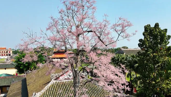 Kết nối VTV8 tuần 13.4 - 20.4: "Tổ quốc bình yên" - Tâm điểm sự kiện tại Đà Nẵng dịp lễ 30/4.- Ảnh 9. Kết nối VTV8 tuần 13.4 - 20.4: "Tổ quốc bình yên" - Tâm điểm sự kiện tại Đà Nẵng dịp lễ 30/4.- Ảnh 9.