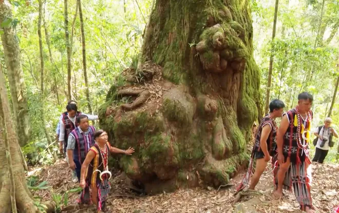 Kết nối VTV8 tuần 13.4 - 20.4: "Tổ quốc bình yên" - Tâm điểm sự kiện tại Đà Nẵng dịp lễ 30/4.- Ảnh 14. Kết nối VTV8 tuần 13.4 - 20.4: "Tổ quốc bình yên" - Tâm điểm sự kiện tại Đà Nẵng dịp lễ 30/4.- Ảnh 14.