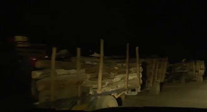 Gia Lai: Thủ đoạn khai th&aacute;c rừng tr&aacute;i ph&eacute;p ng&agrave;y c&agrave;ng tinh vi- Ảnh 5.