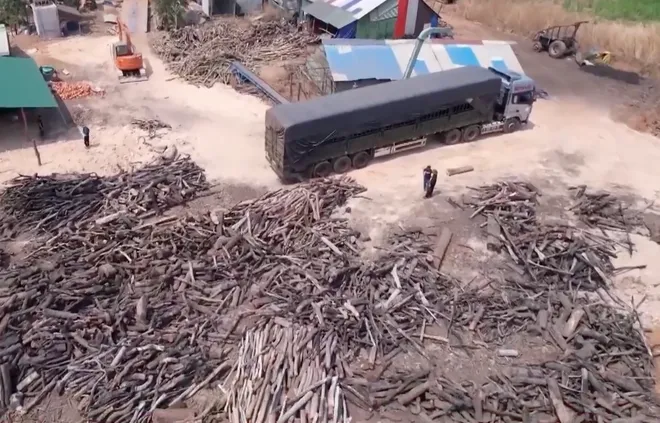 Gia Lai: Thủ đoạn khai th&aacute;c rừng tr&aacute;i ph&eacute;p ng&agrave;y c&agrave;ng tinh vi- Ảnh 4.