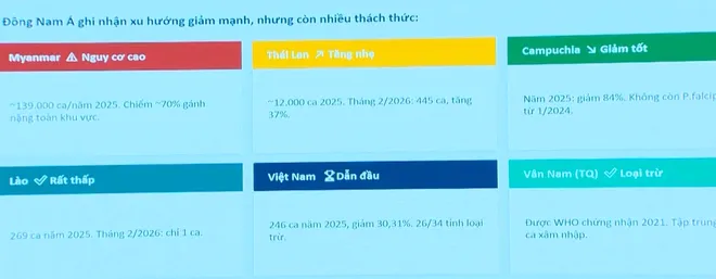 Huy động nguồn lực, quyết t&acirc;m loại trừ sốt r&eacute;t tại Việt Nam- Ảnh 4.