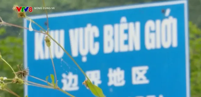 B&oacute;c trần đường d&acirc;y mua b&aacute;n người dưới vỏ bọc h&ocirc;n nh&acirc;n- Ảnh 6.