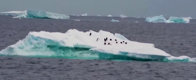 Ng&agrave;y Tr&aacute;i đất 2026: H&agrave;nh động trước khi qu&aacute; muộn- Ảnh 2.