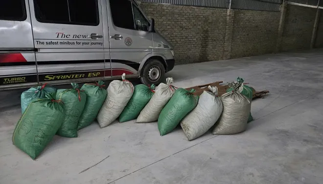 Tuy&ecirc;n phạt tổng 16 năm t&ugrave; cho 2 đối tượng bu&ocirc;n b&aacute;n gần 1 tấn vẩy t&ecirc; t&ecirc; ch&acirc;u Phi- Ảnh 1.