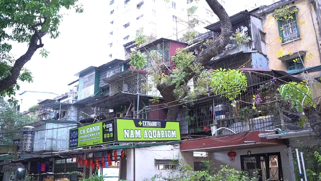Cải tạo chung cư cũ tại Hà Nội: Hài hòa lợi ích để “an dân” - Ảnh 13.