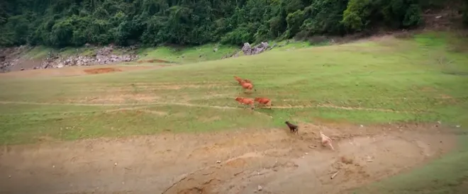 Lời hứa đầu ti&ecirc;n - Tập 4: "Đời kh&ocirc;ng như l&agrave; mơ", Vi Minh bị bố phản đối quyết liệt- Ảnh 11.