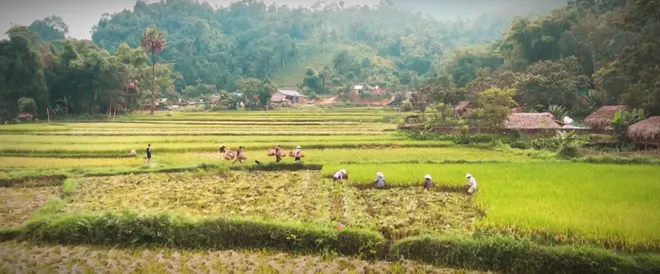 Lời hứa đầu ti&ecirc;n - Tập 4: "Đời kh&ocirc;ng như l&agrave; mơ", Vi Minh bị bố phản đối quyết liệt- Ảnh 10.