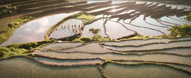 Lời hứa đầu ti&ecirc;n - Tập 4: "Đời kh&ocirc;ng như l&agrave; mơ", Vi Minh bị bố phản đối quyết liệt- Ảnh 14.