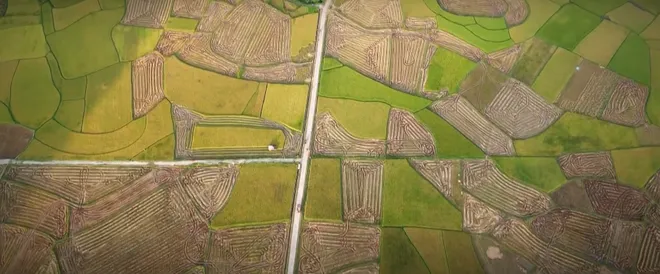 Lời hứa đầu ti&ecirc;n - Tập 4: "Đời kh&ocirc;ng như l&agrave; mơ", Vi Minh bị bố phản đối quyết liệt- Ảnh 12.