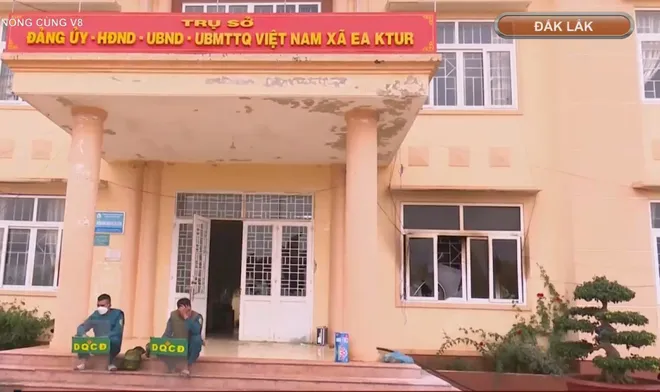 Đắk Lắk: Tuy&ecirc;n phạt 11 năm t&ugrave; đối tượng khủng bố- Ảnh 11.