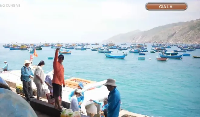 Tăng cường kiểm tra phương tiện đường thuỷ phục vụ du lịch- Ảnh 5.