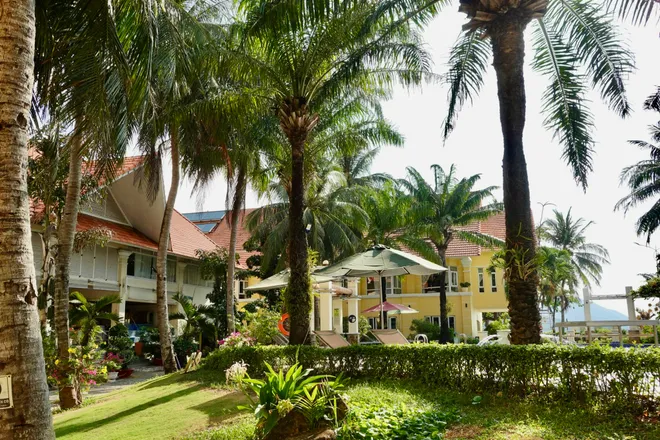 Saigontourist Group đ&oacute;n nhận Hu&acirc;n chương Lao động hạng Nhất lần thứ hai- Ảnh 12.