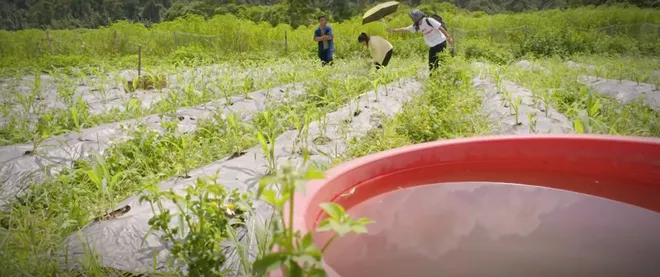 Lời hứa đầu ti&ecirc;n - Tập 5: Bị Quỳnh Mai g&acirc;y sức &eacute;p, Vi Minh nỗ lực "vượt kh&oacute;"- Ảnh 7.