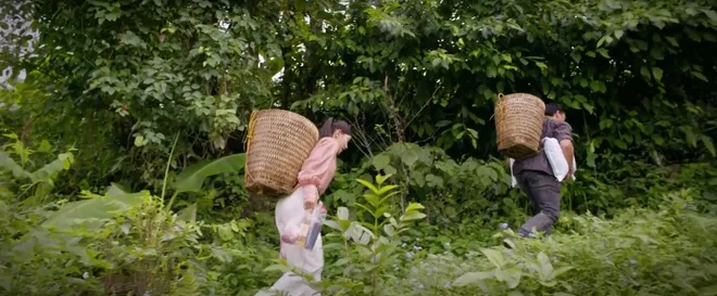 Tập 6 - Lời hứa đầu ti&ecirc;n: Ho&aacute; ra Vi Minh v&agrave; thiếu gia Hải Đăng c&oacute; duy&ecirc;n từ trước - Ảnh 14.