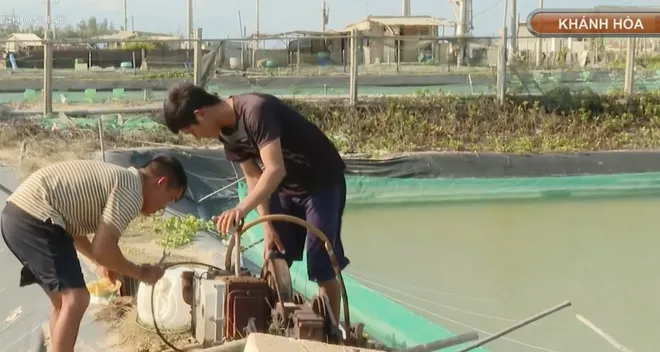 Hướng mở sinh kế cho người d&acirc;n v&ugrave;ng dự &aacute;n điện hạt nh&acirc;n- Ảnh 4.