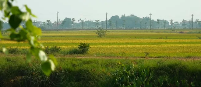 Kh&ocirc;ng gian cổ xưa ở l&agrave;ng Thanh Thuỷ Ch&aacute;nh - Ảnh 7.