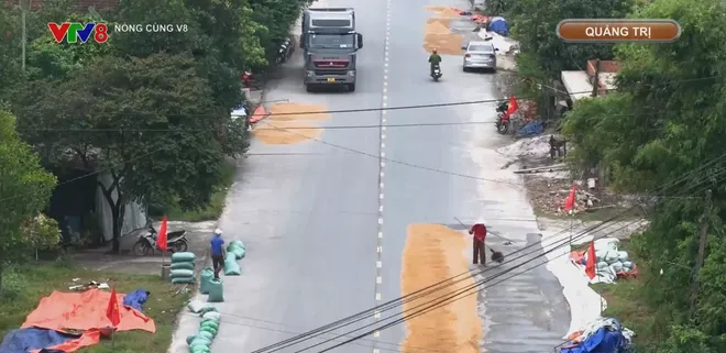Mối hiểm nguy từ phơi l&uacute;a tr&ecirc;n tuyến giao th&ocirc;ng- Ảnh 2.