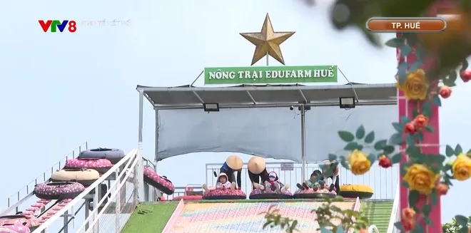 Li&ecirc;n kết, ph&aacute;t triển n&ocirc;ng sản gắn với cảnh quan, du lịch- Ảnh 9.