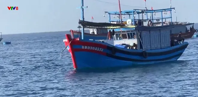 Ứng dụng số l&agrave;m minh bạch nghề c&aacute;- Ảnh 10.
