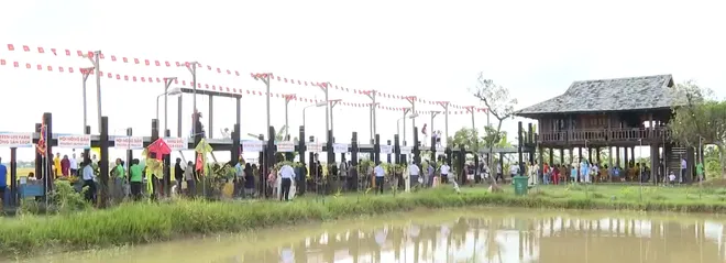 Li&ecirc;n kết, ph&aacute;t triển n&ocirc;ng sản gắn với cảnh quan, du lịch- Ảnh 6.
