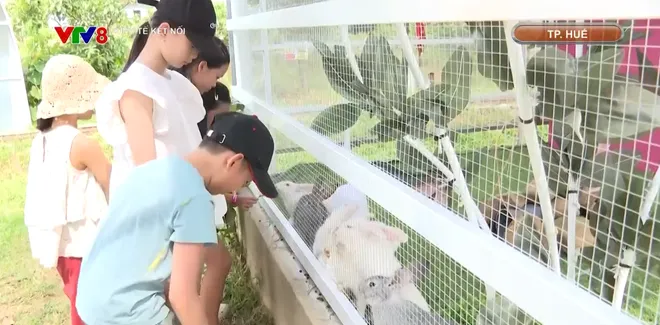 Li&ecirc;n kết, ph&aacute;t triển n&ocirc;ng sản gắn với cảnh quan, du lịch- Ảnh 3.
