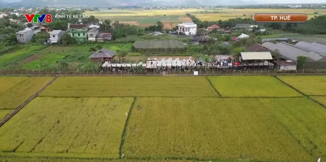 Li&ecirc;n kết, ph&aacute;t triển n&ocirc;ng sản gắn với cảnh quan, du lịch- Ảnh 8.