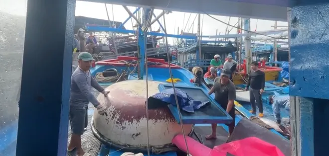 Đắk Lắk: Ngư d&acirc;n khai th&aacute;c hơn 1.660 tấn c&aacute; ngừ đại dương- Ảnh 3.
