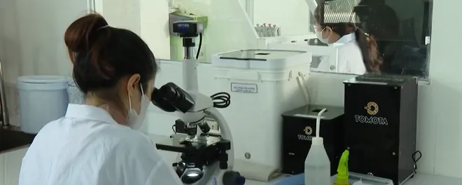 Minh bạch chất lượng t&ocirc;m giống- Ảnh 2.