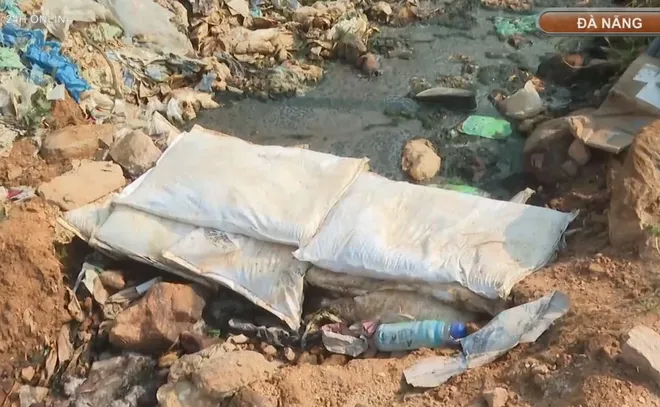 Đ&agrave; Nẵng t&igrave;m giải ph&aacute;p cho t&igrave;nh trạng qu&aacute; tải r&aacute;c- Ảnh 4.