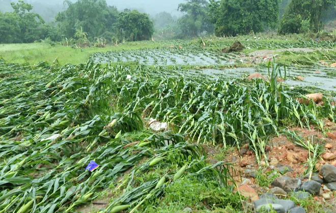 Quảng Ninh: Khẩn trương khắc phục nhiều điểm ngập úng, sạt lở - Ảnh 3.
