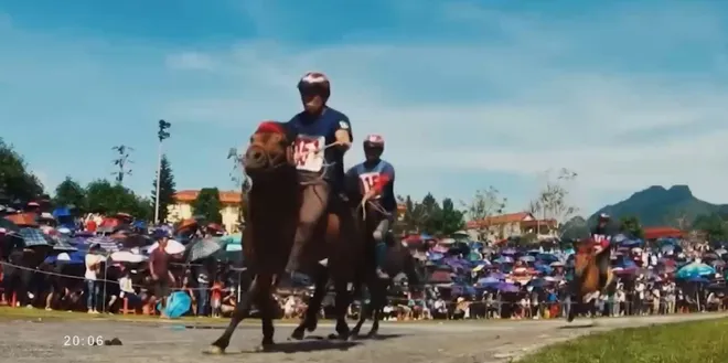Lào Cai sẵn sàng cho Festival “Vang xa vó ngựa cao nguyên”- Ảnh 4. Lào Cai sẵn sàng cho Festival “Vang xa vó ngựa cao nguyên”- Ảnh 4.