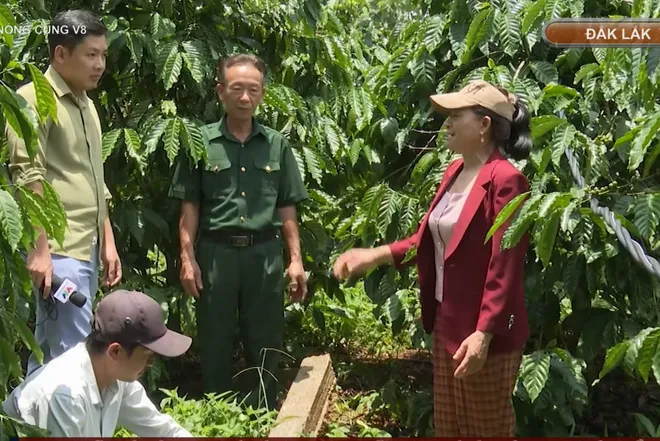 Đắk Lắk: Cảnh giác lừa đảo tín dụng sau vỏ bọc hợp tác xã- Ảnh 1. Đắk Lắk: Cảnh giác lừa đảo tín dụng sau vỏ bọc hợp tác xã- Ảnh 1.