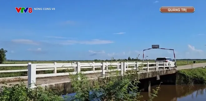 Nguy hiểm do cầu dân sinh xuống cấp- Ảnh 9. Nguy hiểm do cầu dân sinh xuống cấp- Ảnh 9.