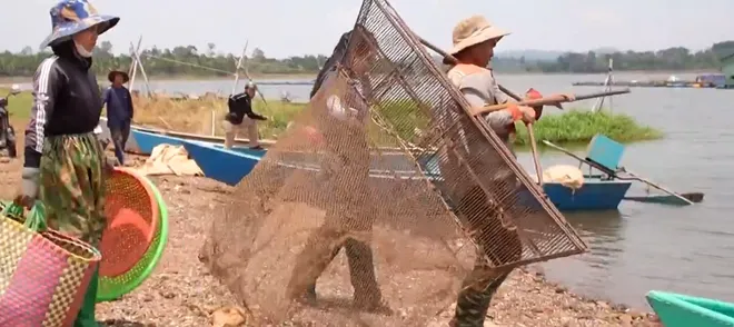 Mưu sinh trên hồ Ea Kao, Đắk Lắk - Ảnh 6. Mưu sinh trên hồ Ea Kao, Đắk Lắk - Ảnh 6.