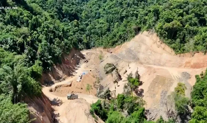 Phát hiện vụ phá rừng tại Quảng Trị- Ảnh 5. Phát hiện vụ phá rừng tại Quảng Trị- Ảnh 5.